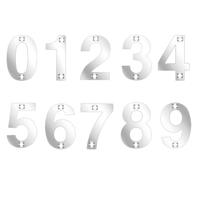 Zoo Hardware ZSN Numerals 50mm (0-9), Polished Stainless Steel - ZSNPS POLISHED STAINLESS STEEL - 9